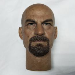 Head Sculpt